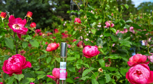 Belle Travel Perfume in front of peony bushes.